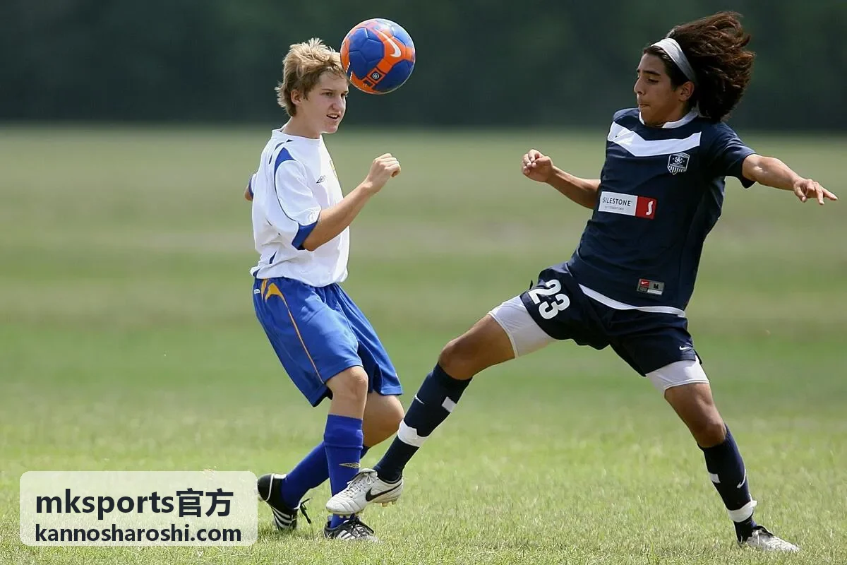 mksports官方票务座位预订看台视野示意