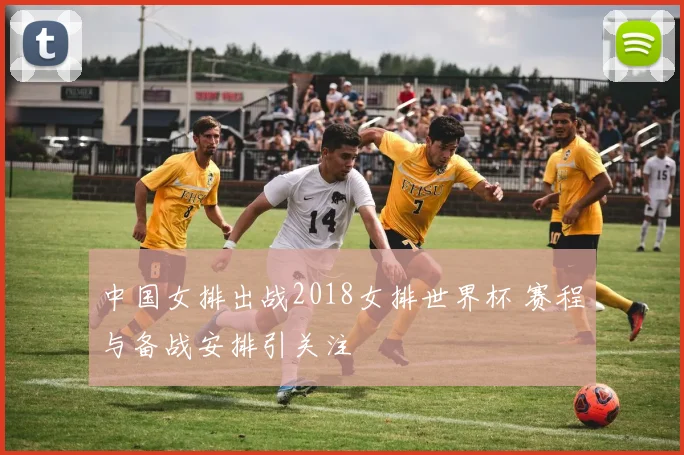中国女排出战2018女排世界杯 赛程与备战安排引关注