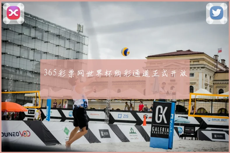 365彩票网世界杯购彩通道正式开放