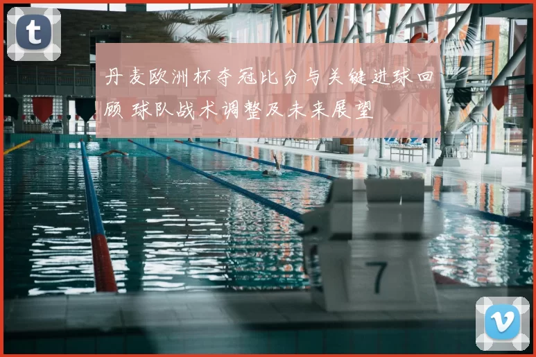 丹麦欧洲杯夺冠比分与关键进球回顾 球队战术调整及未来展望