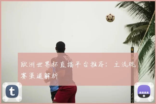 欧洲世界杯直播平台推荐：主流观赛渠道解析