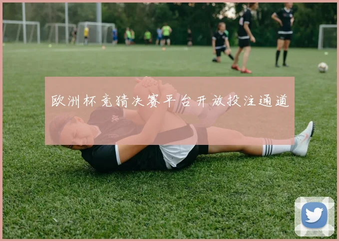 欧洲杯竞猜决赛平台开放投注通道