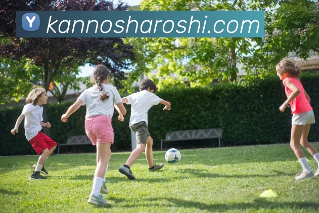 多媒体互动体验